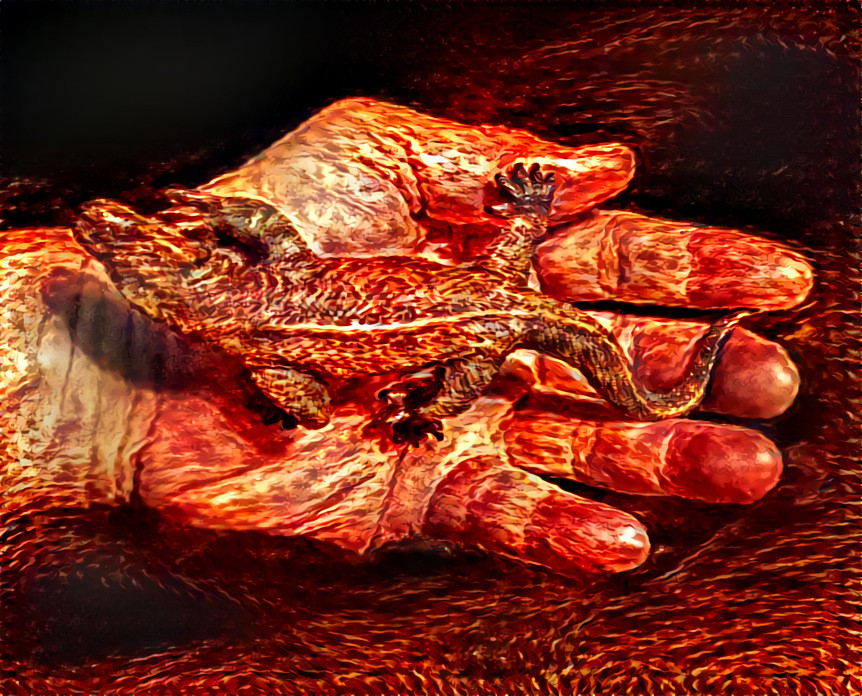Komodo Dragon, my hand, and hella hot