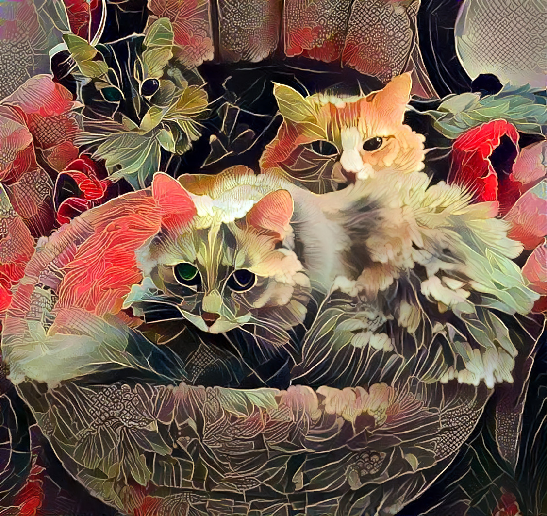 Three Cats Full