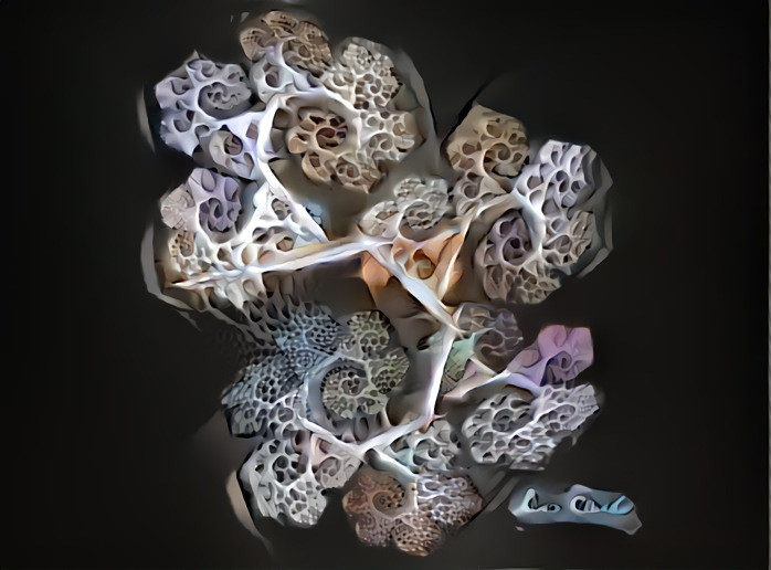 Original image is my art made from a fractal I created using Apophysis,  image used for the style is not my art.