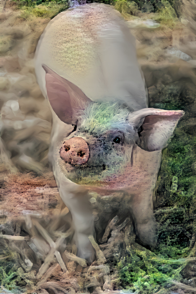 Pig Absorbs Rhino