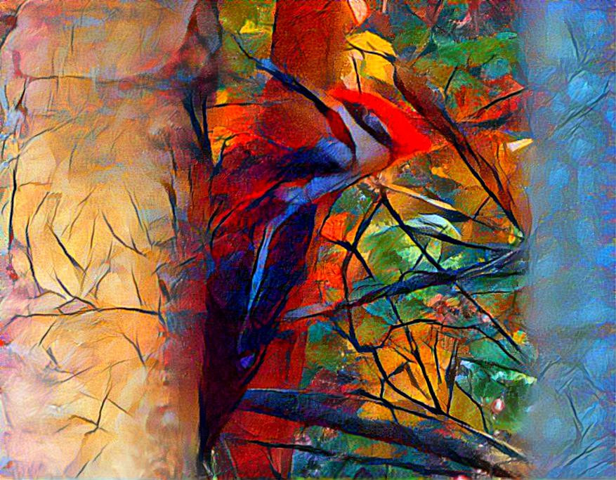 Pileated Woodpecker on a Big Tree
