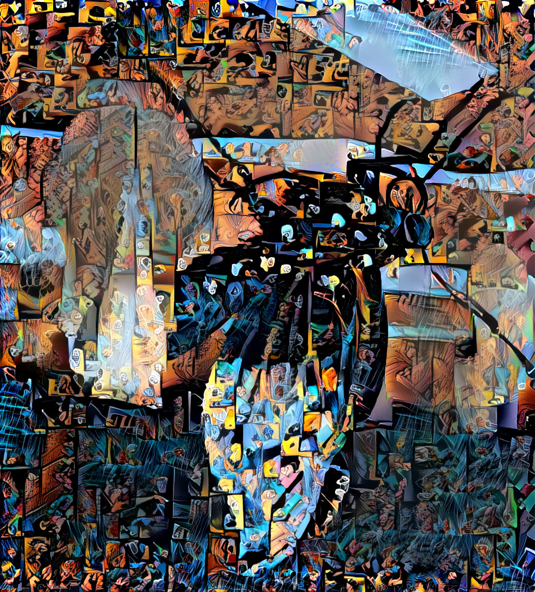 Freshly Emerged Butterfly
