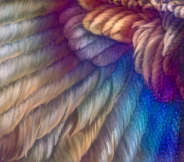Phenix' Feathers