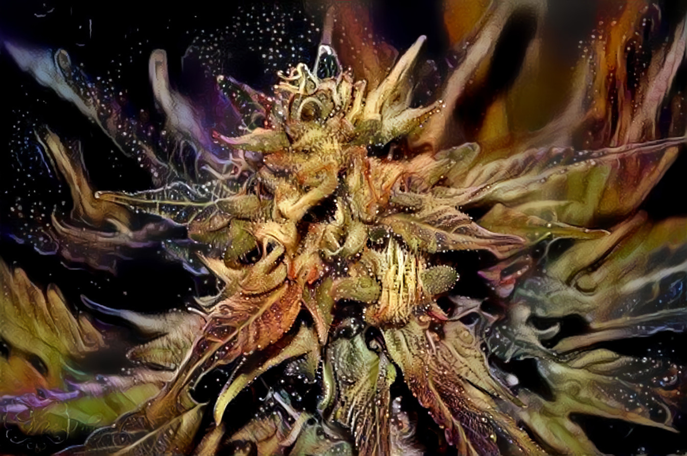 Weed Dream