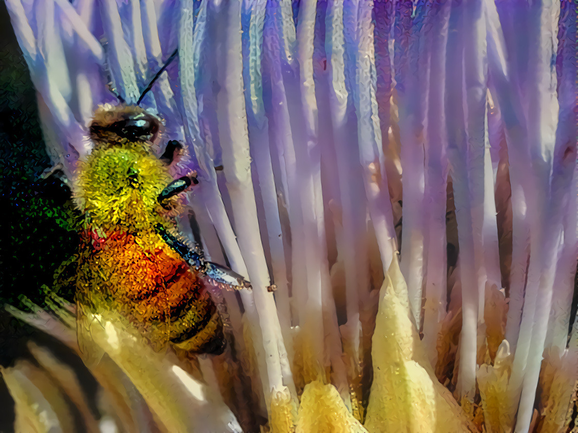 Bees Love Artichoke Flowers