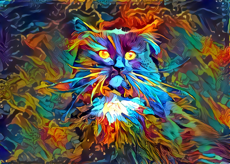 Cat on acid