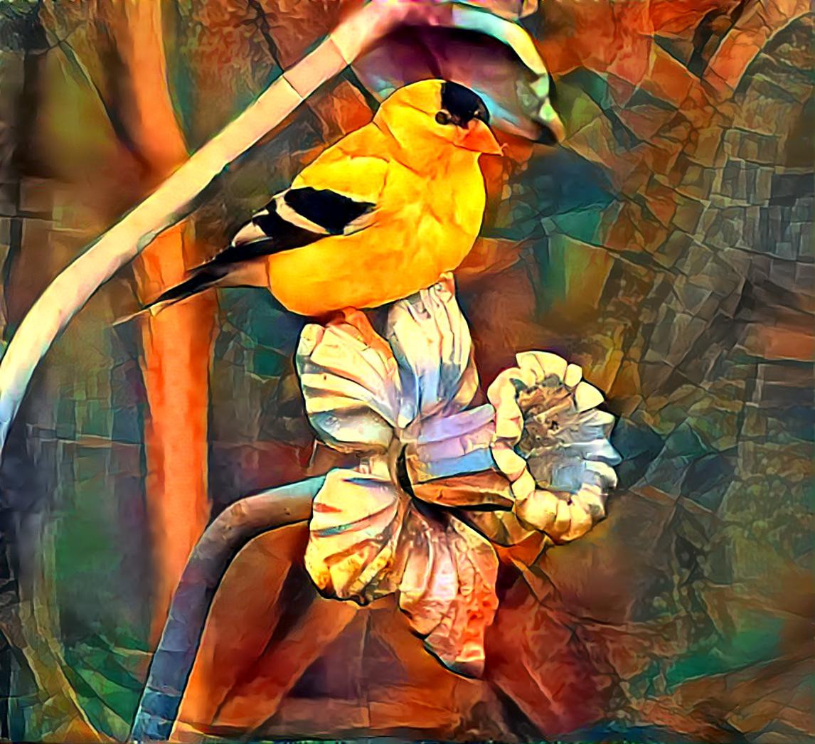 Ode to the Goldfinch