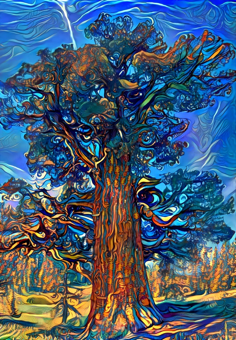 Oldest tree in California
