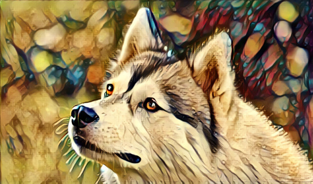 Wolfy.