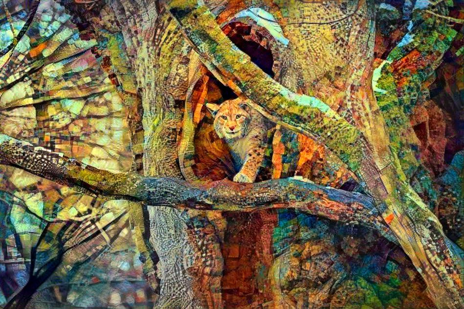 Bobcat in Hollow Tree