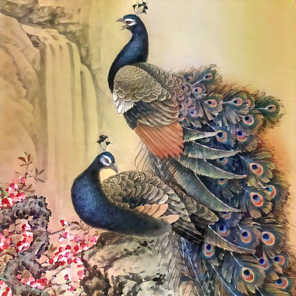 Peacocks : Alpha and Beta