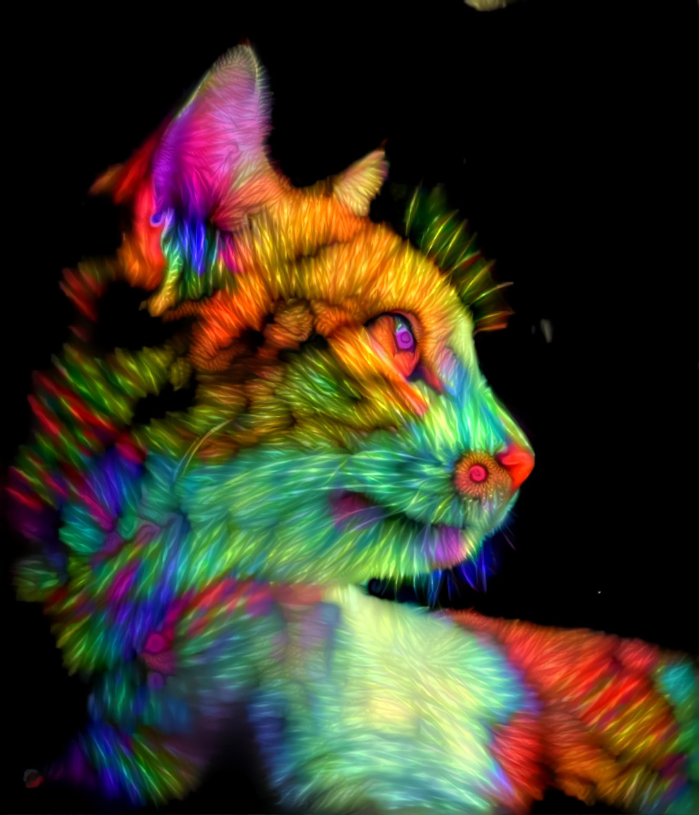 Neon Lights Cat - DWP Remix of Yuki’s Photography