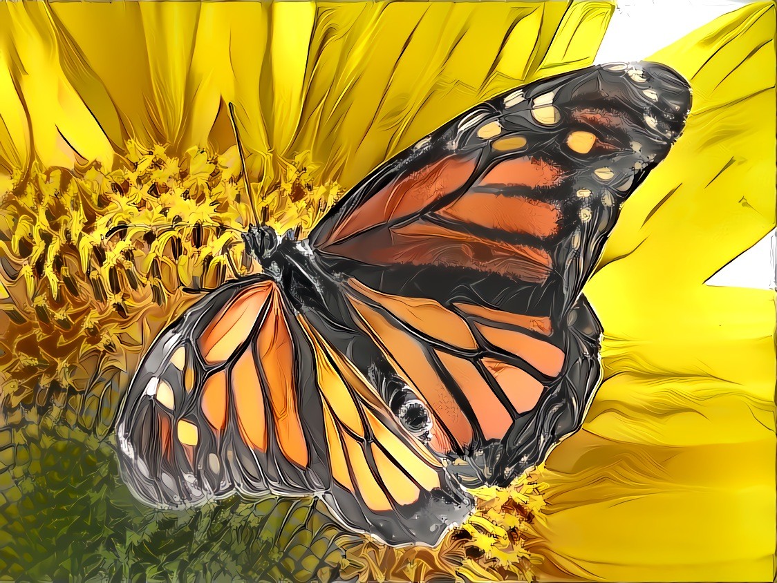 Monarch on Sunflower-01