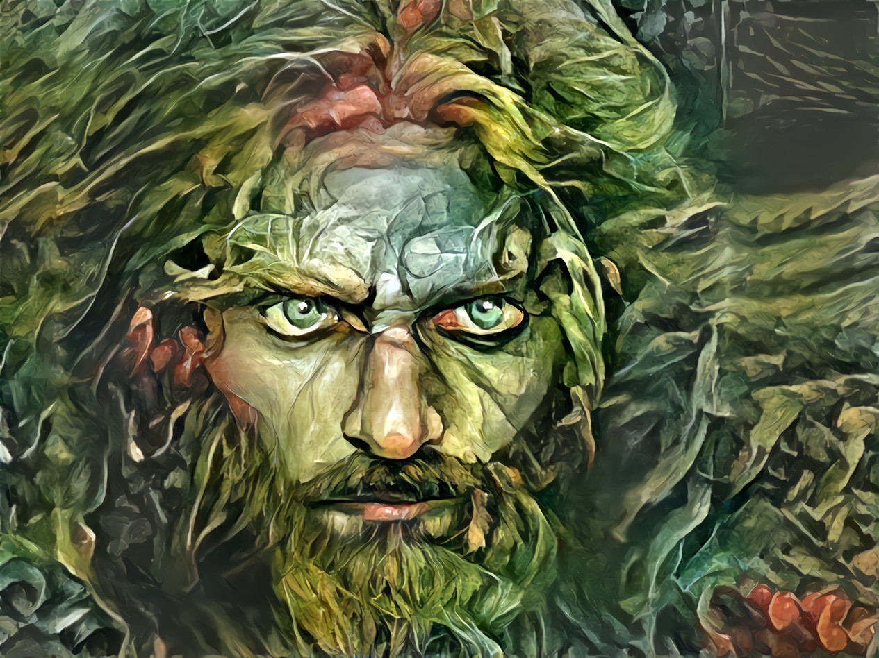 Wild Man in the Style of Brian Froud