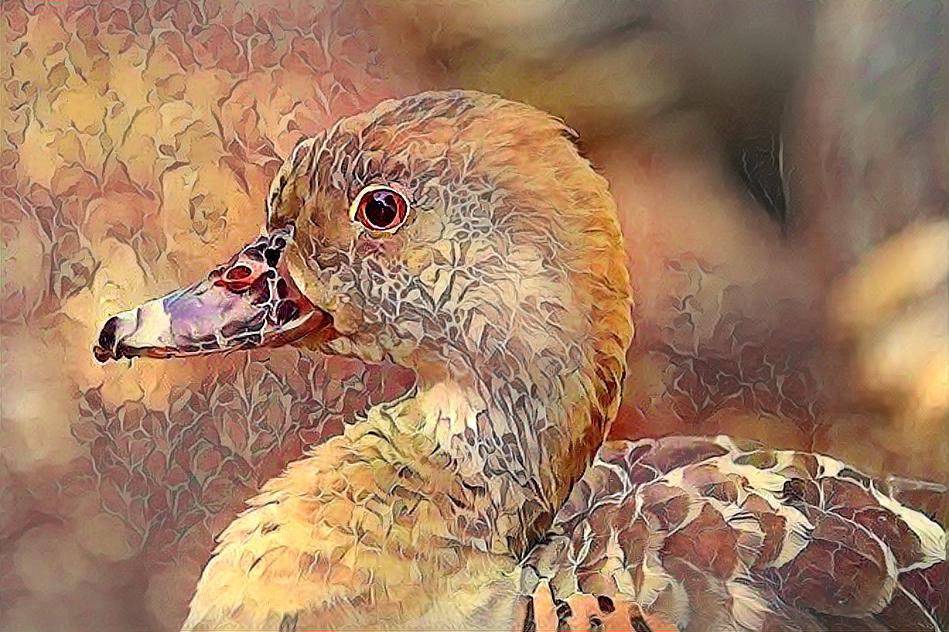 Artful Duck