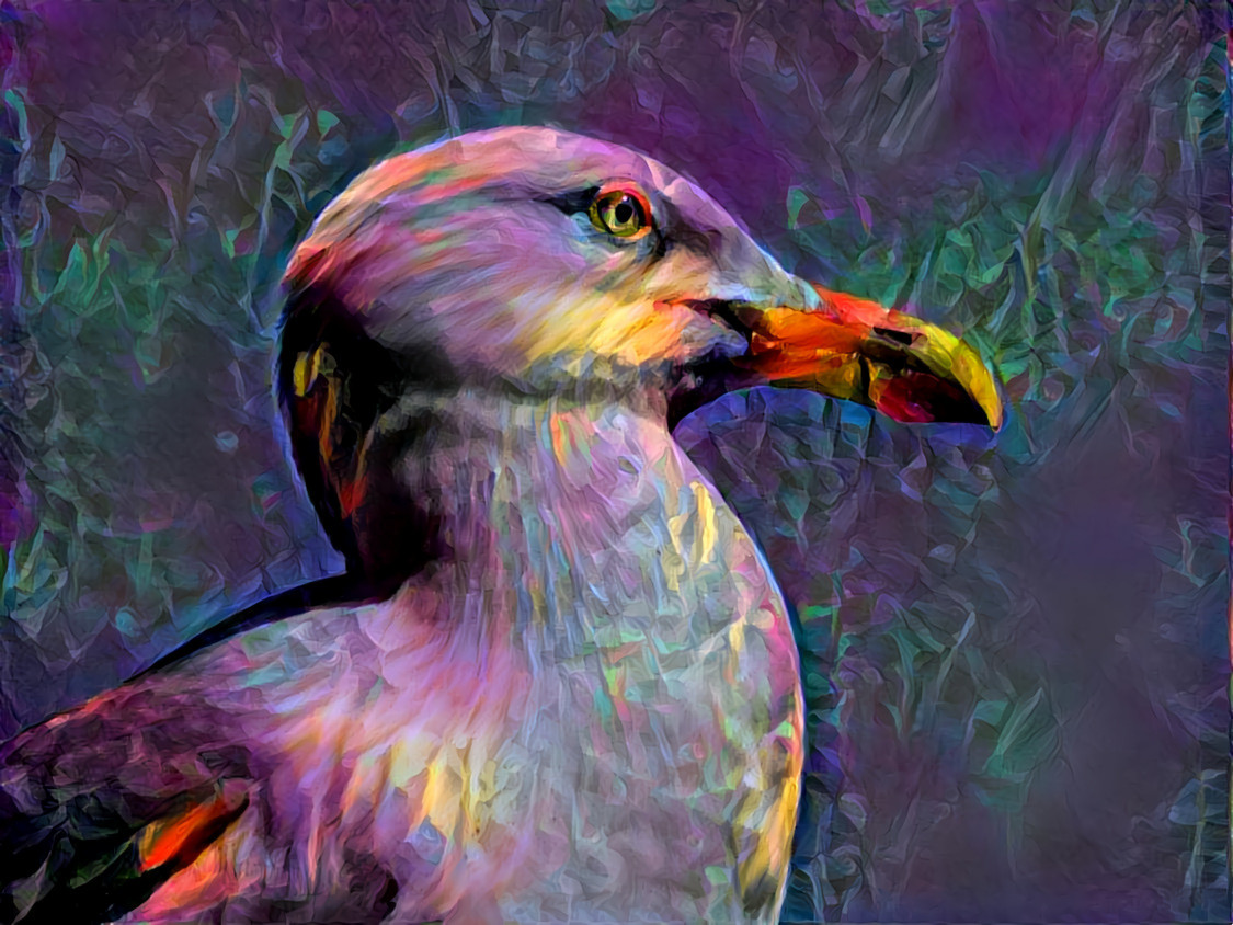 "Dream Seagull" - -  by Unreal from own photo.