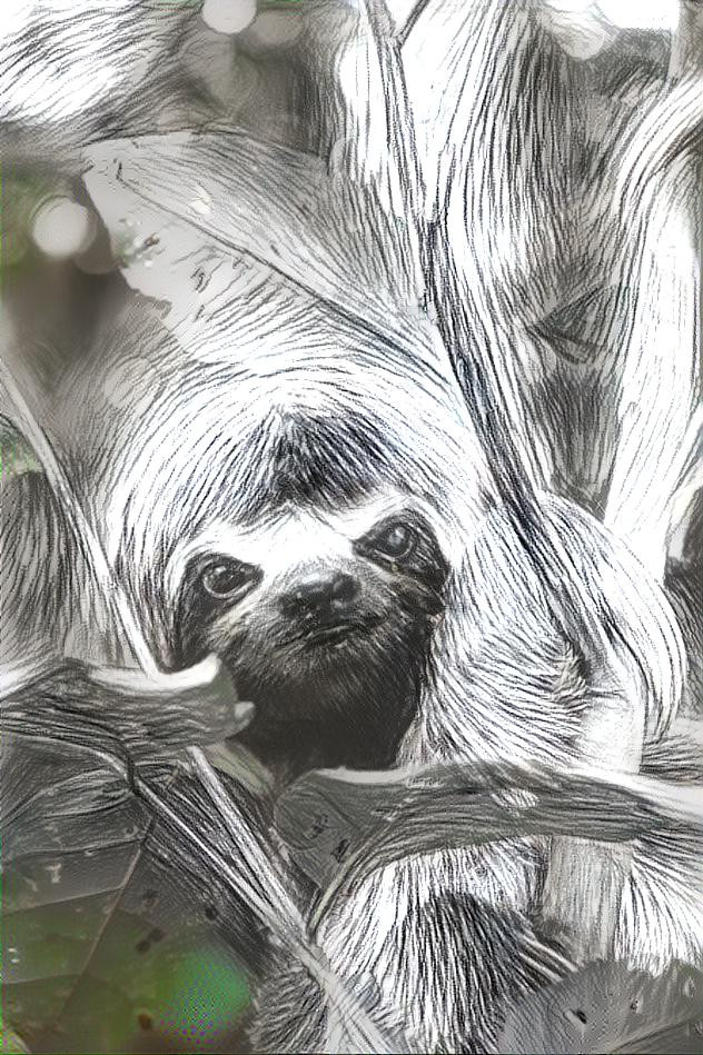 Happy Sloth II