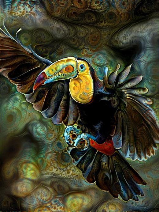 toucan flying high