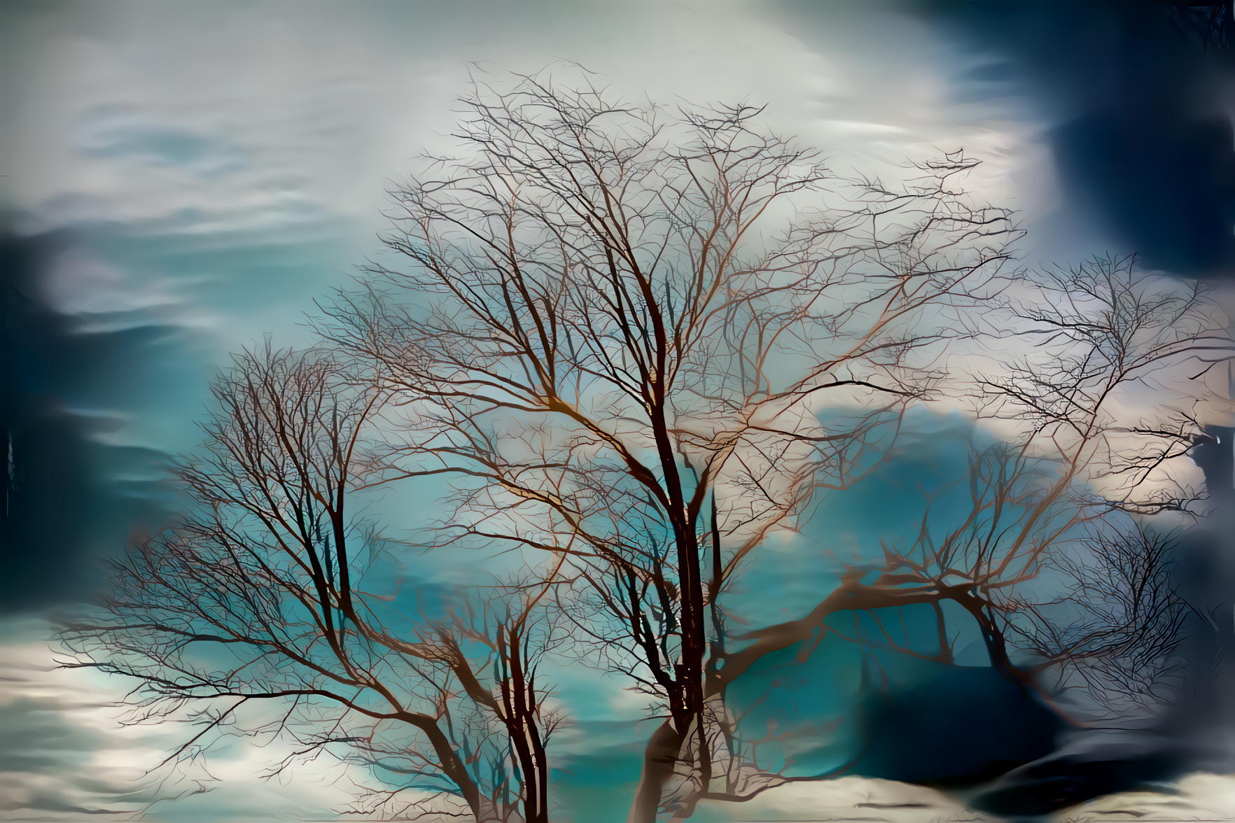 Bare Tree, Blue Sky