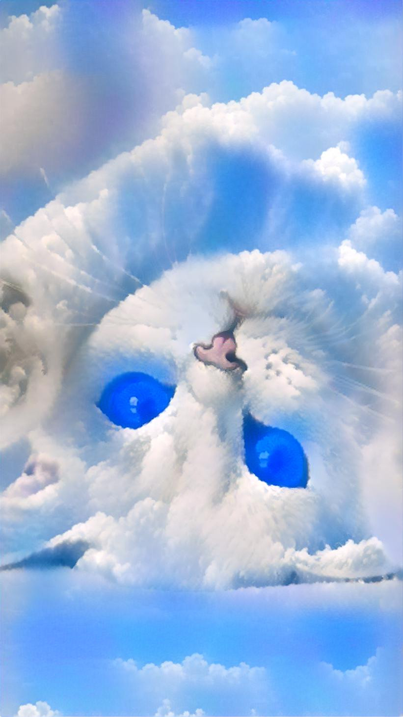 Heavenly Kitten