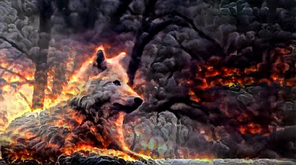 wolf ghost in forest fire