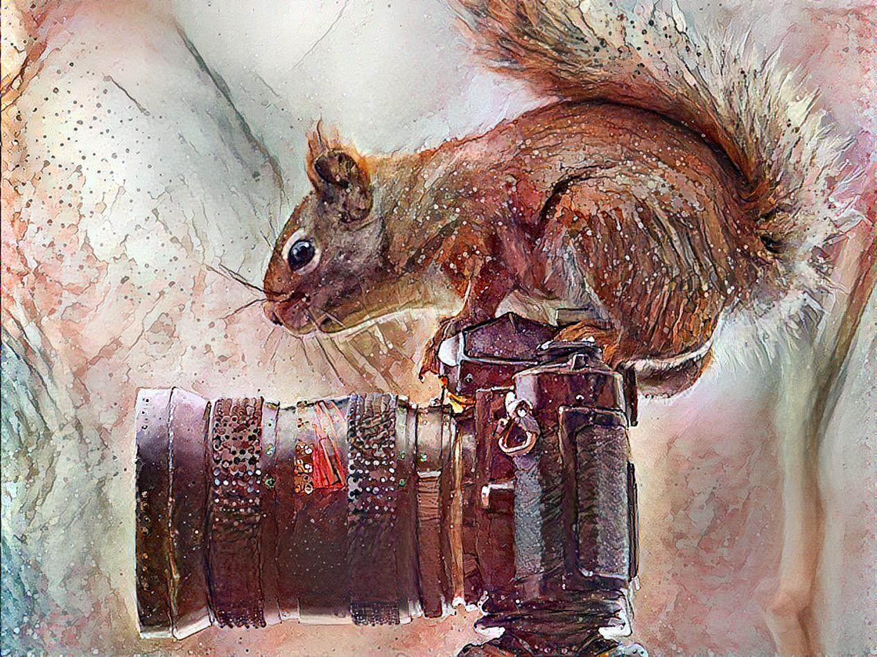 Squirrel paparazzi