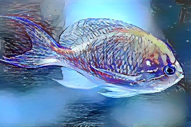 Blue Confetti Fish