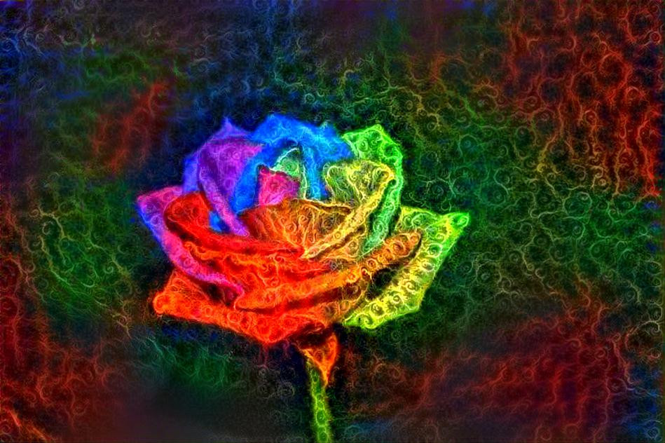 Glow in the Rose
