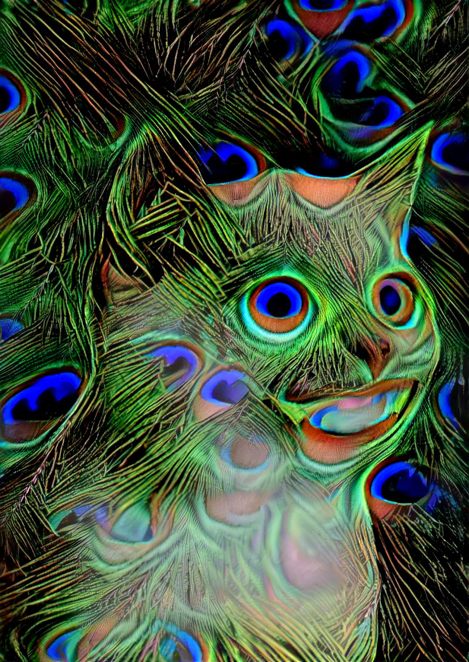 cat with human smile, peacock feathers