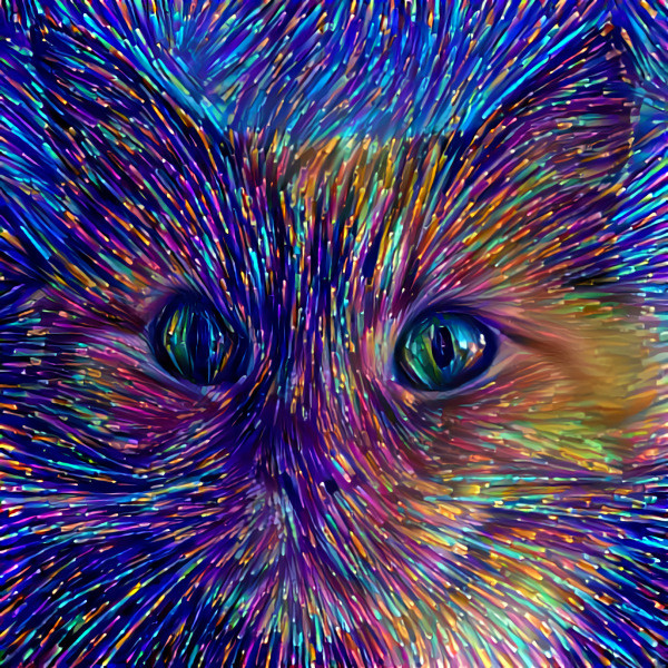 Fiber Cat
