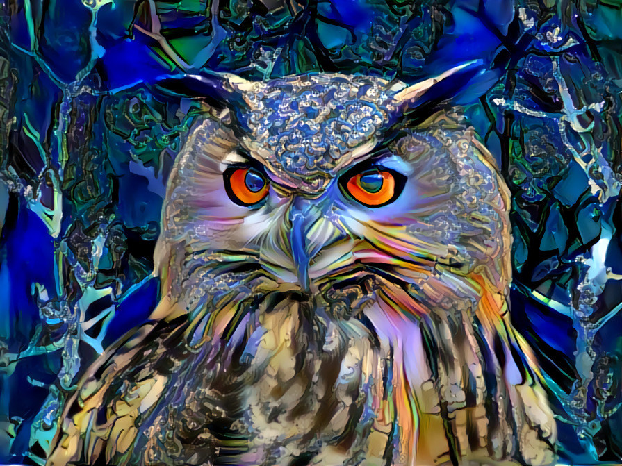 Challenge Owl