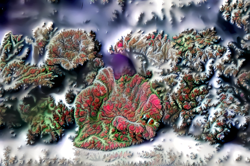 Fractal Coral