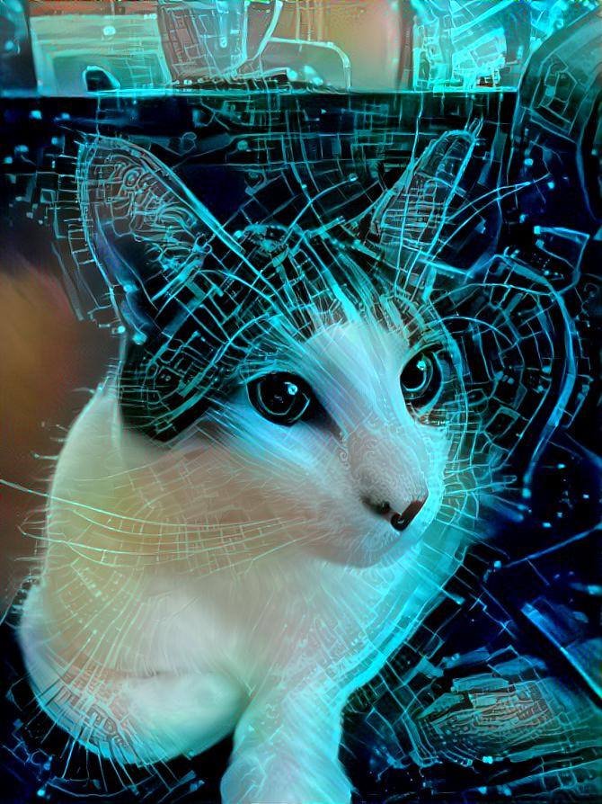 Cyber cat