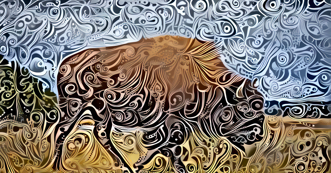 Swirly Bison