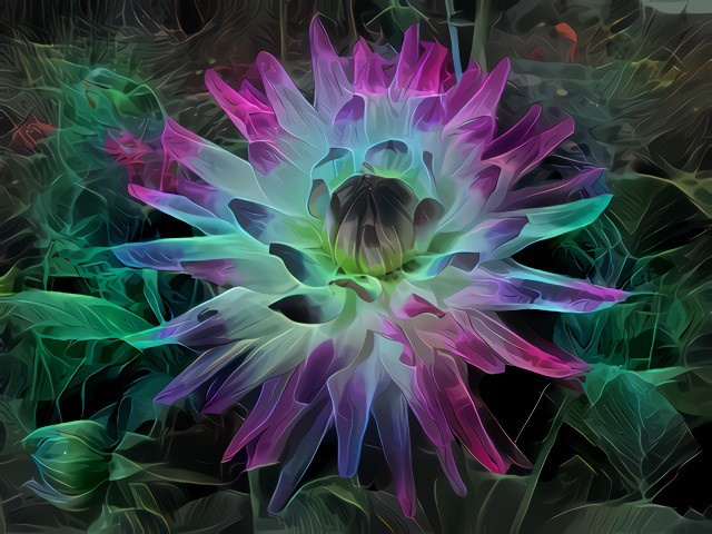 Fractal Flame Flower