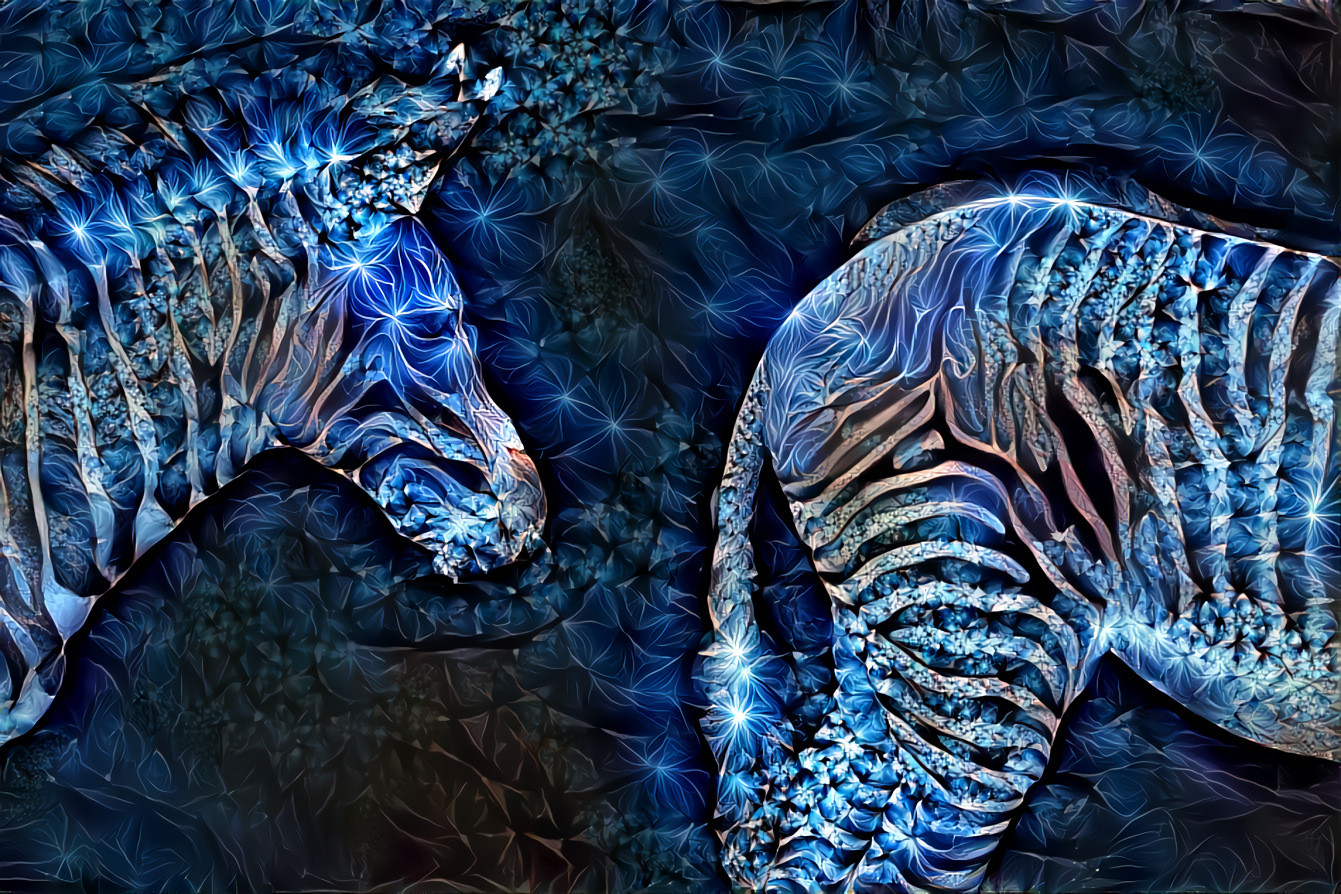 Holiday Zebras.  Source photo is by Nick Fewings on Unsplash.