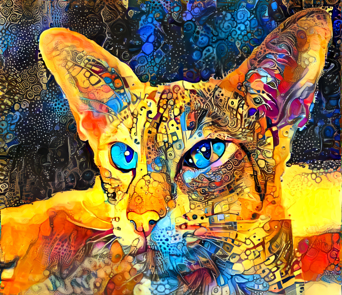 Colourful Cat (Original image by Tania Van den Berghen from Pixabay)
