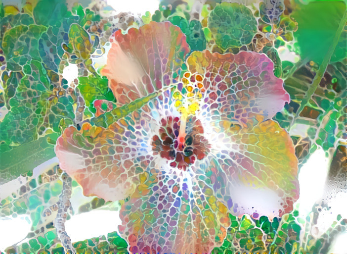 Hibiscus Fluid Art Fusion