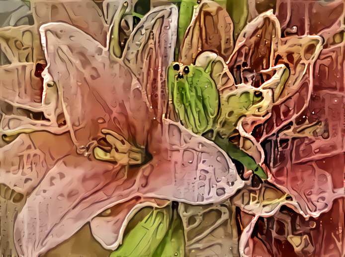 Asiatic Lily #6