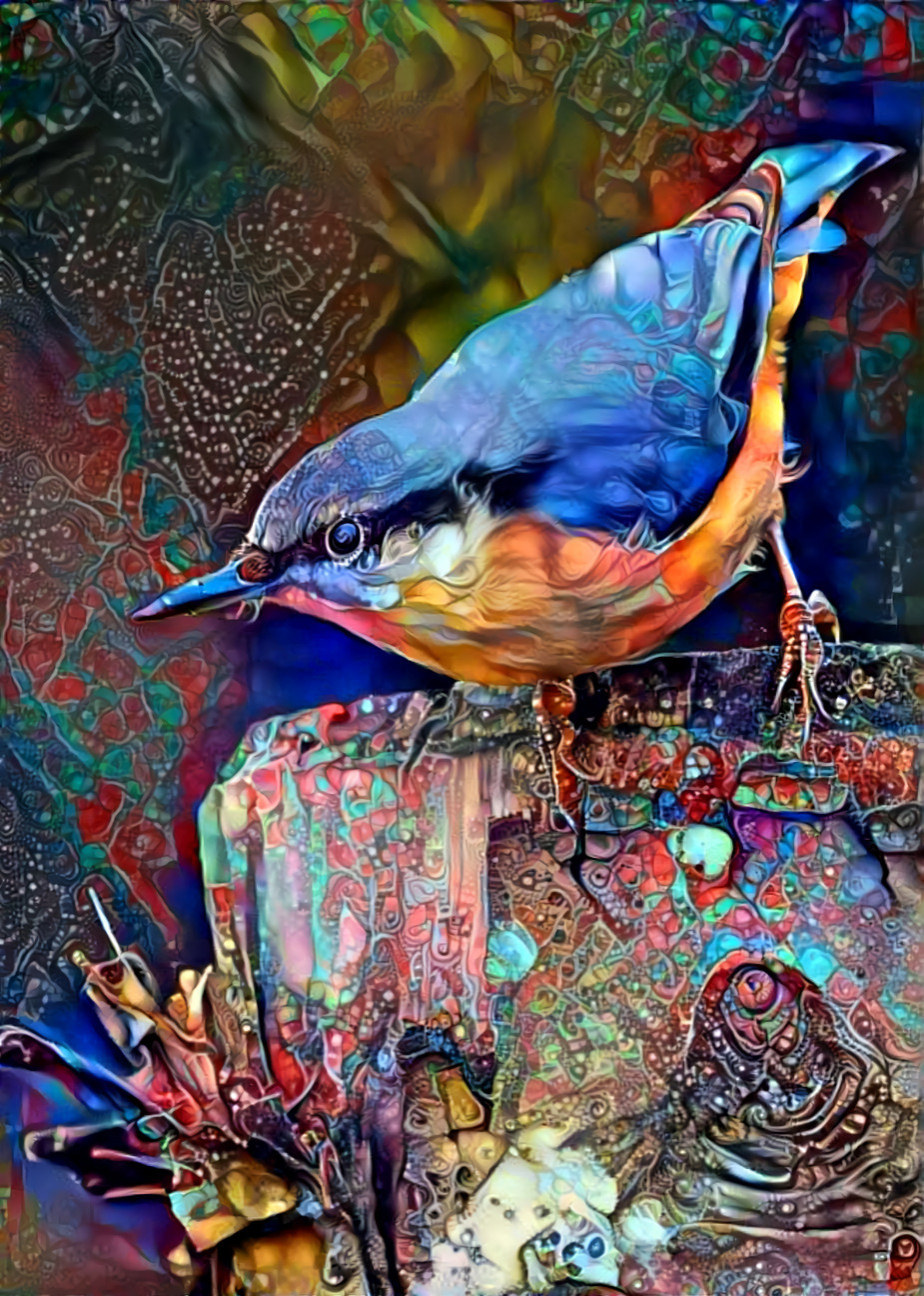 Dimitri Bird
