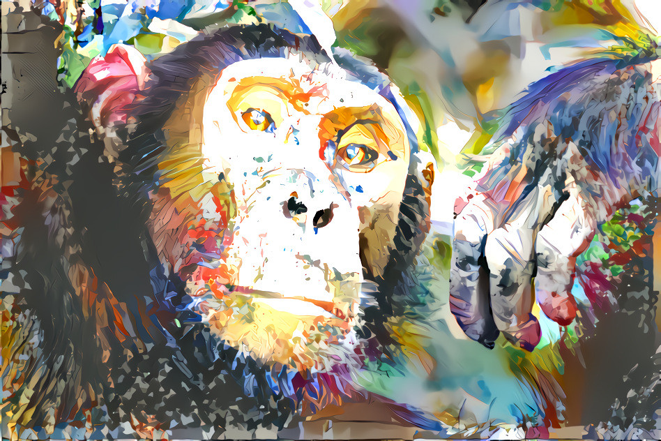 Chimp [Styled with drawings by apes Congo, Baka, Samantha, Bakhari & Joseph]