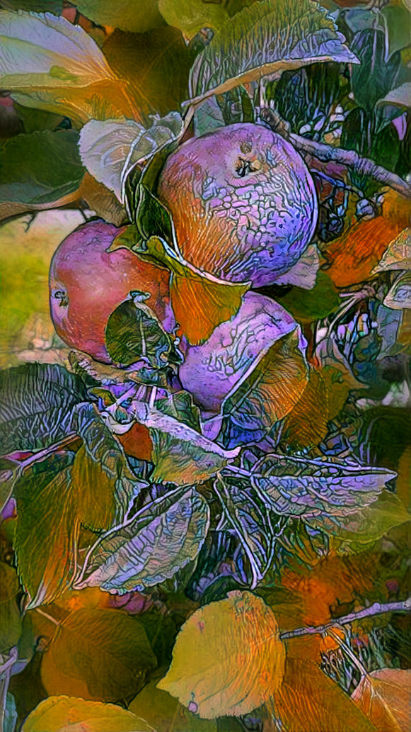 Orchard I