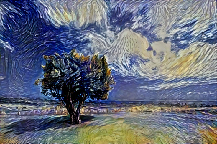 Van Gogh Tree