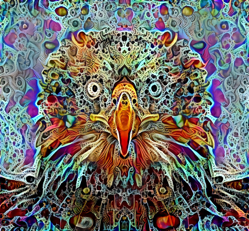 "Mystic eagle" (I/IV) _ sources and styles (edited and processed):  Bird Source Challenge / "Deep Dreamers" - group on Facebook _ (190724)