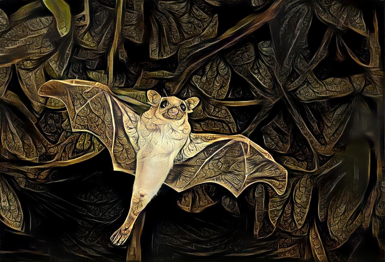Cutie Bat