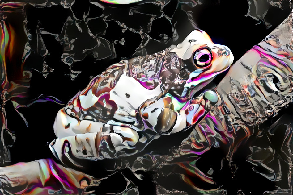 Challenge Style Frog