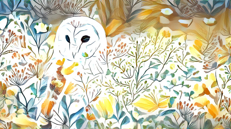 Floral Owl