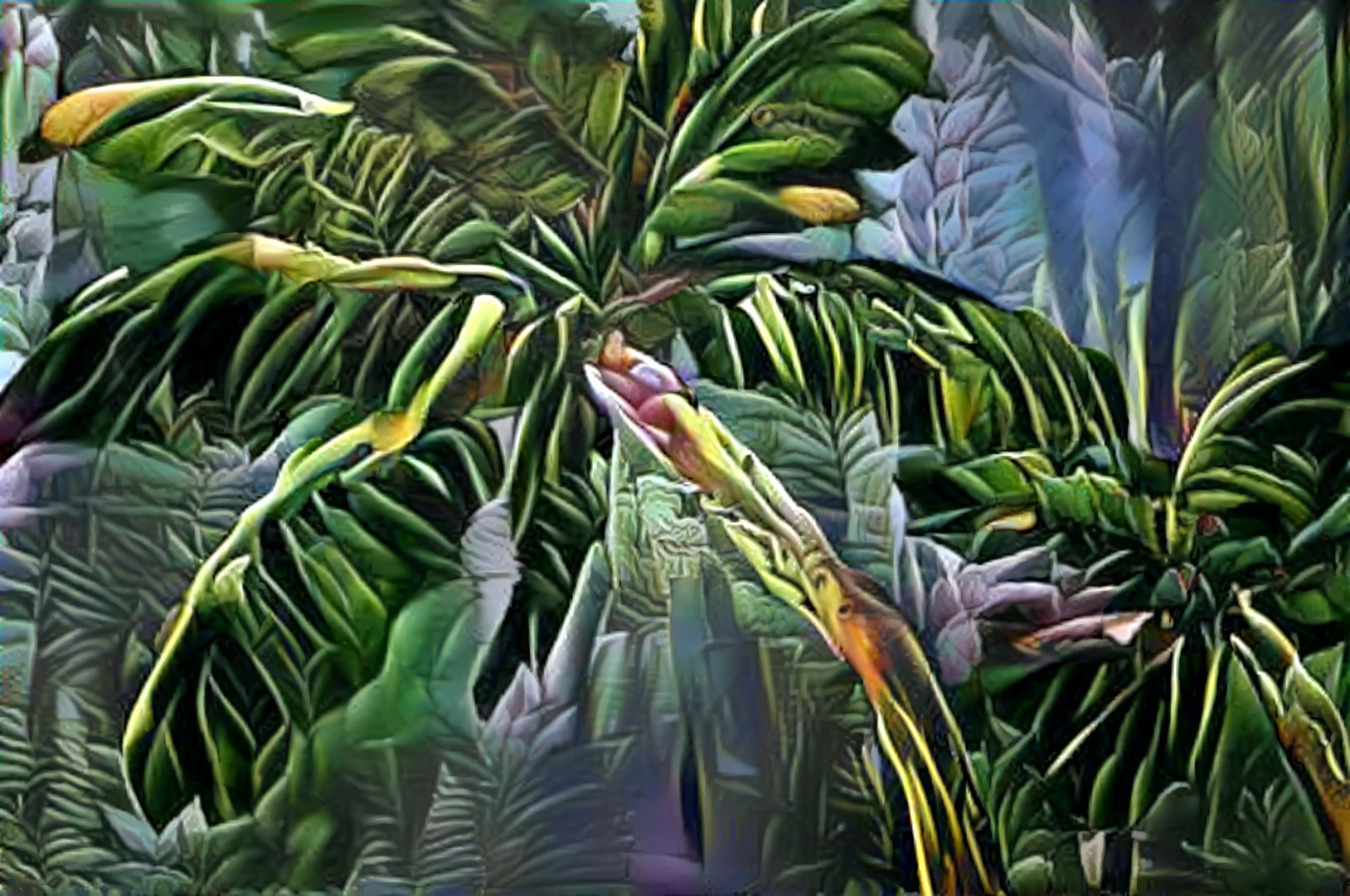 Palm Tree Jungle