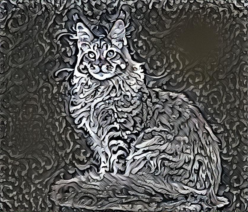 Silver coon