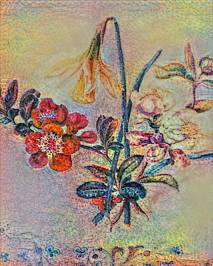 BotanicaFlowering Quince,Apple Blossom § Daffodil 